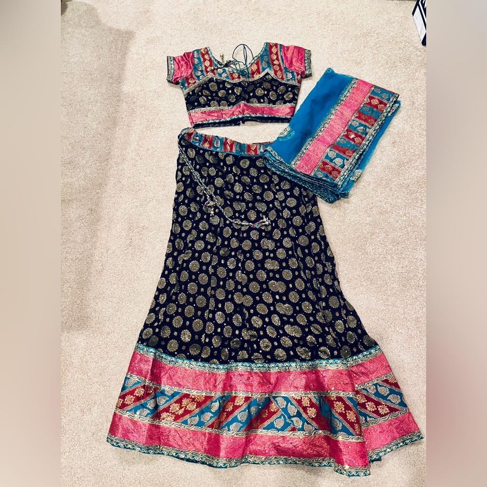 Indian lehenga chaniya choli